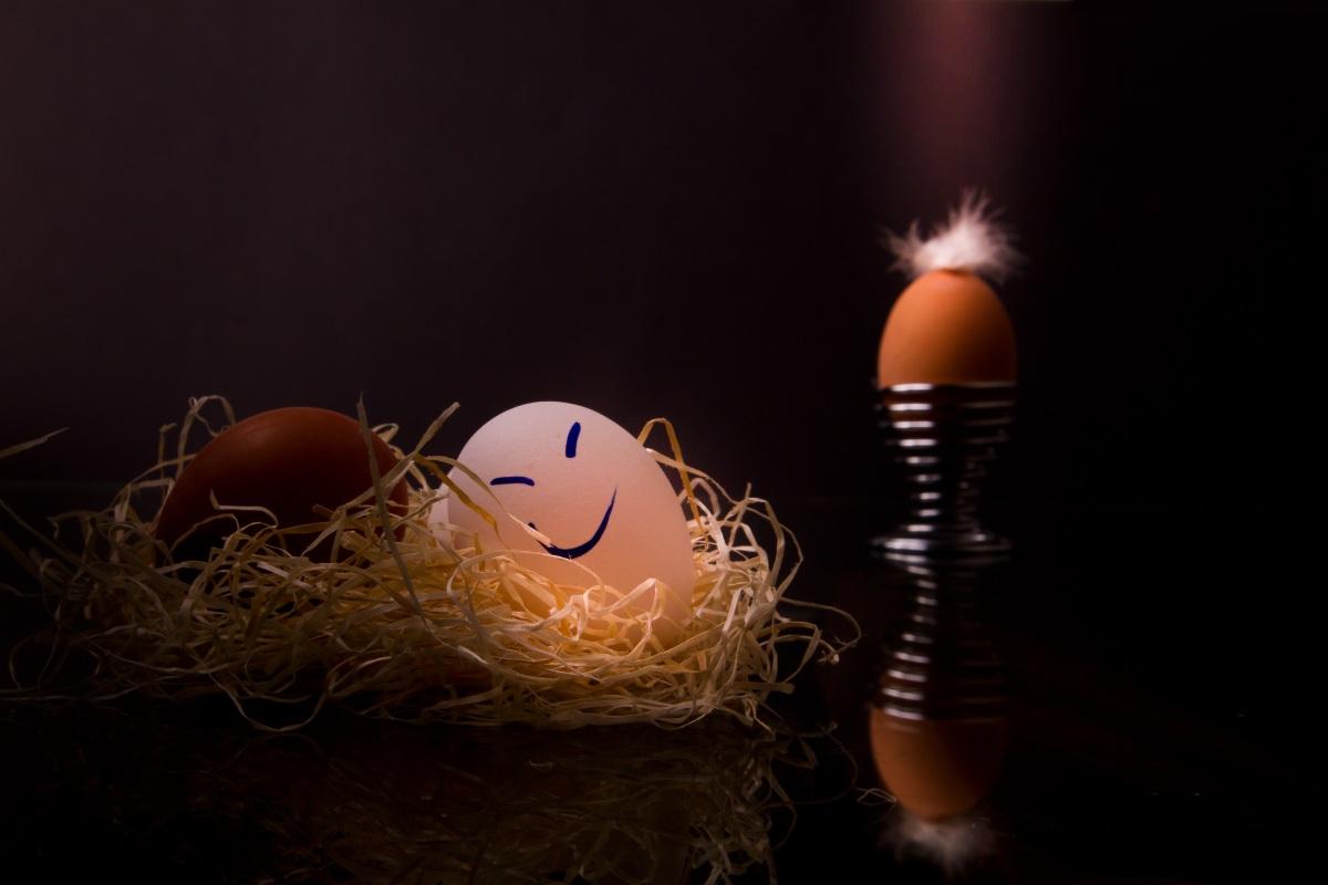 蛋壳上画画图片_蛋壳上画画设计素材