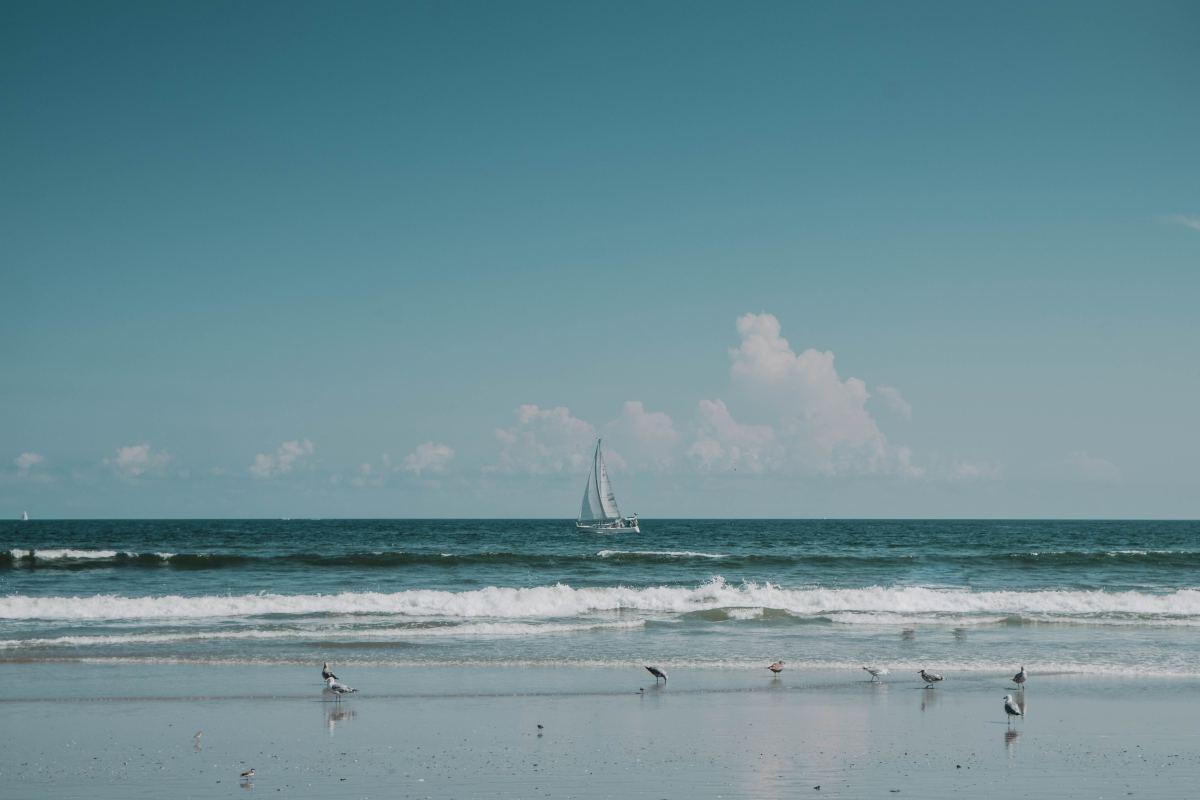 海洋动物_彩色海洋动物简笔画PNG素材