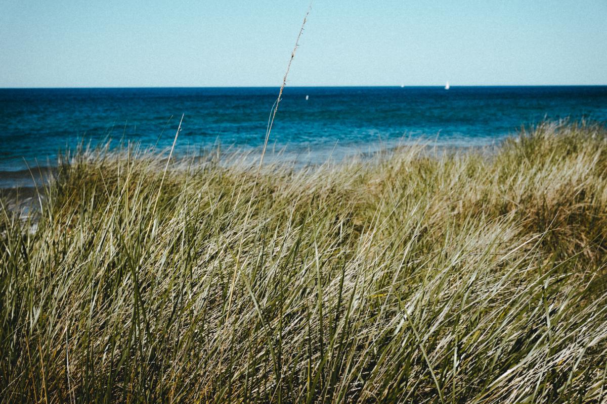 水稻田高清图片下载