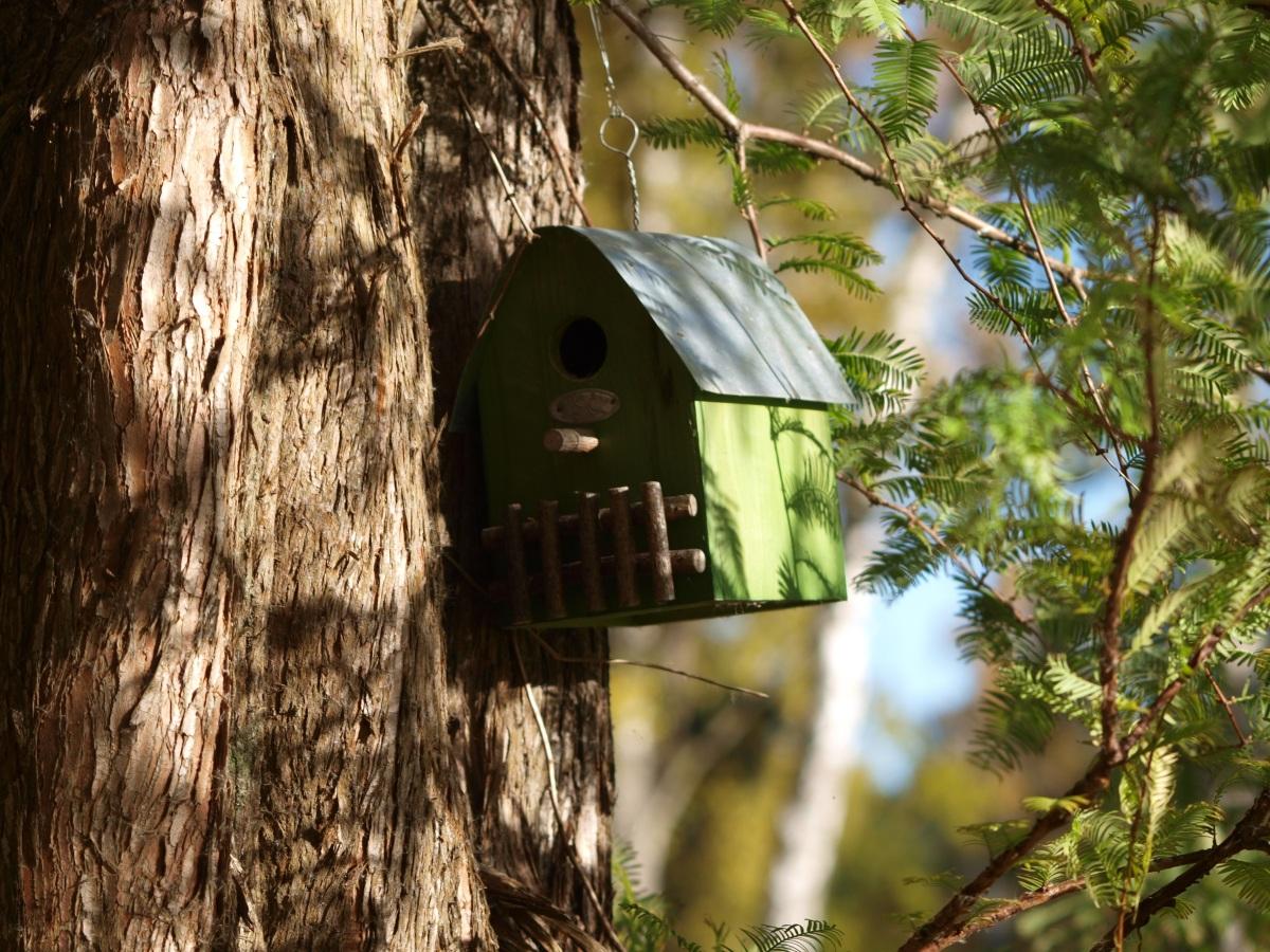 园林景观图片下载