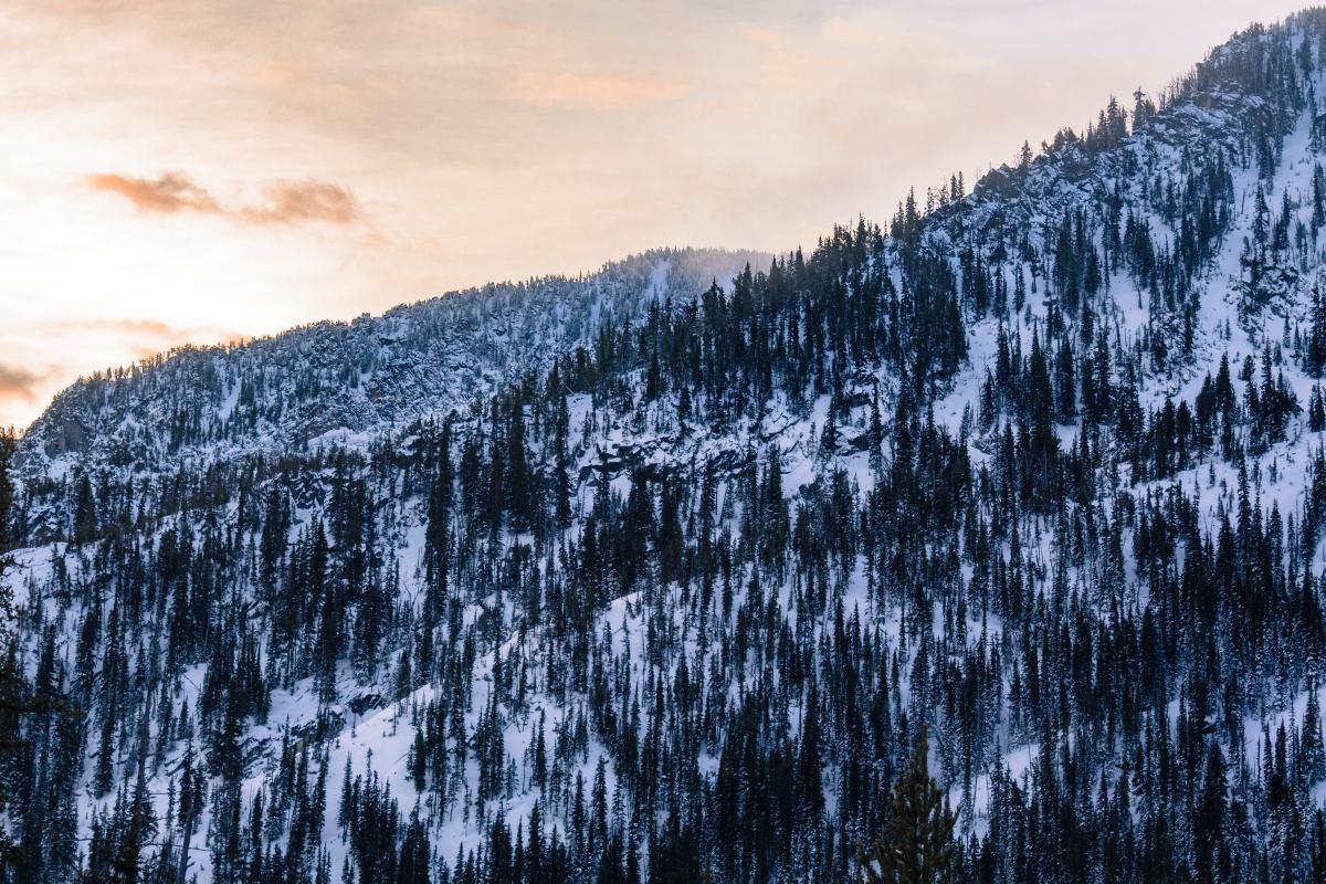 【冬季恋歌】图片免费下载_冬季恋歌素材_冬季恋歌模板