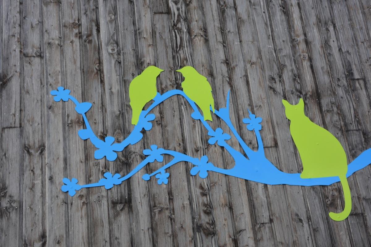 五彩金刚鹦鹉图片_24张