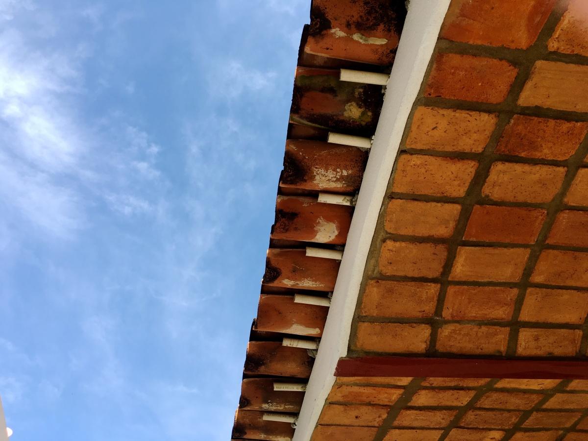 可商用居家室内图片