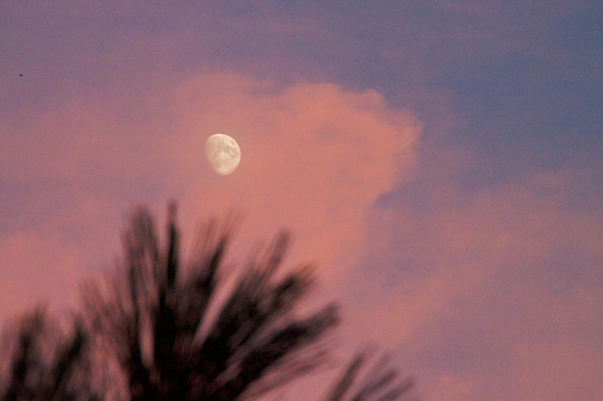 天空树图片_14张