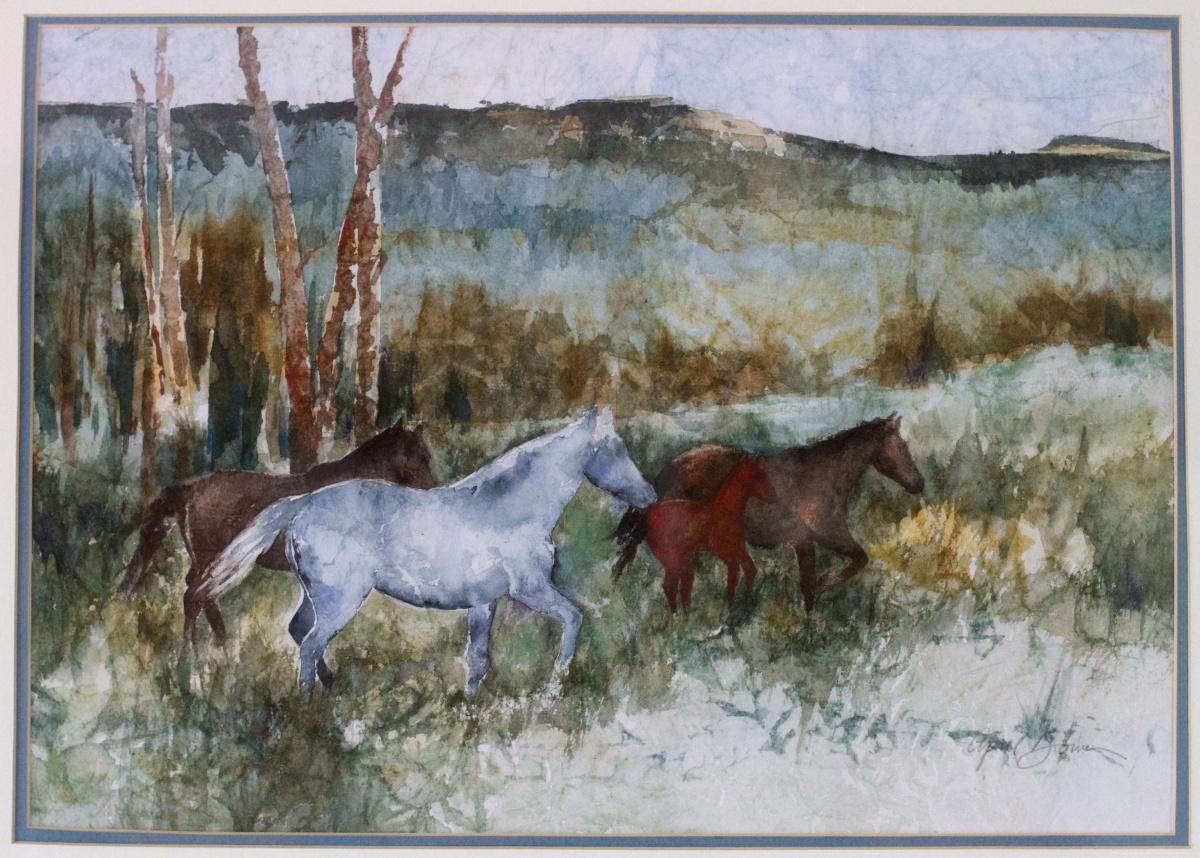 三河马图片大全_三河马高清照片、摄影图