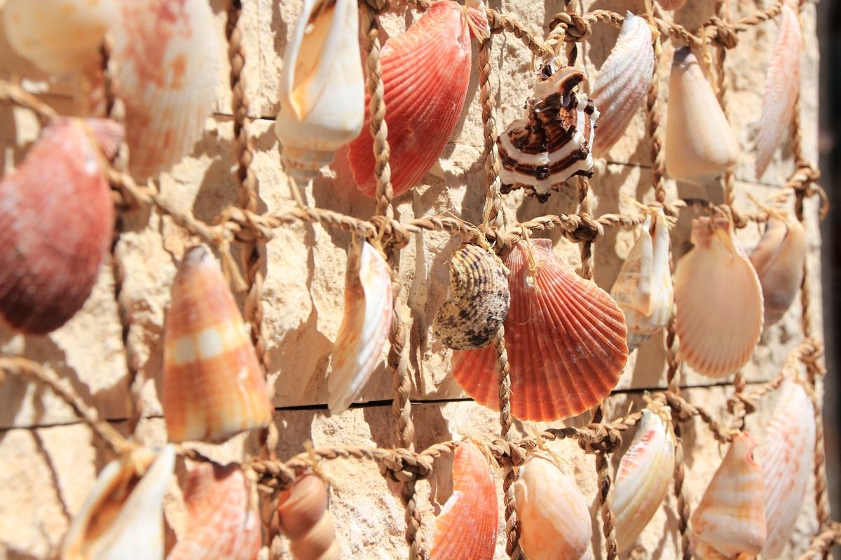 海螺型材图片_海螺型材素材_海螺型材模板免费下载