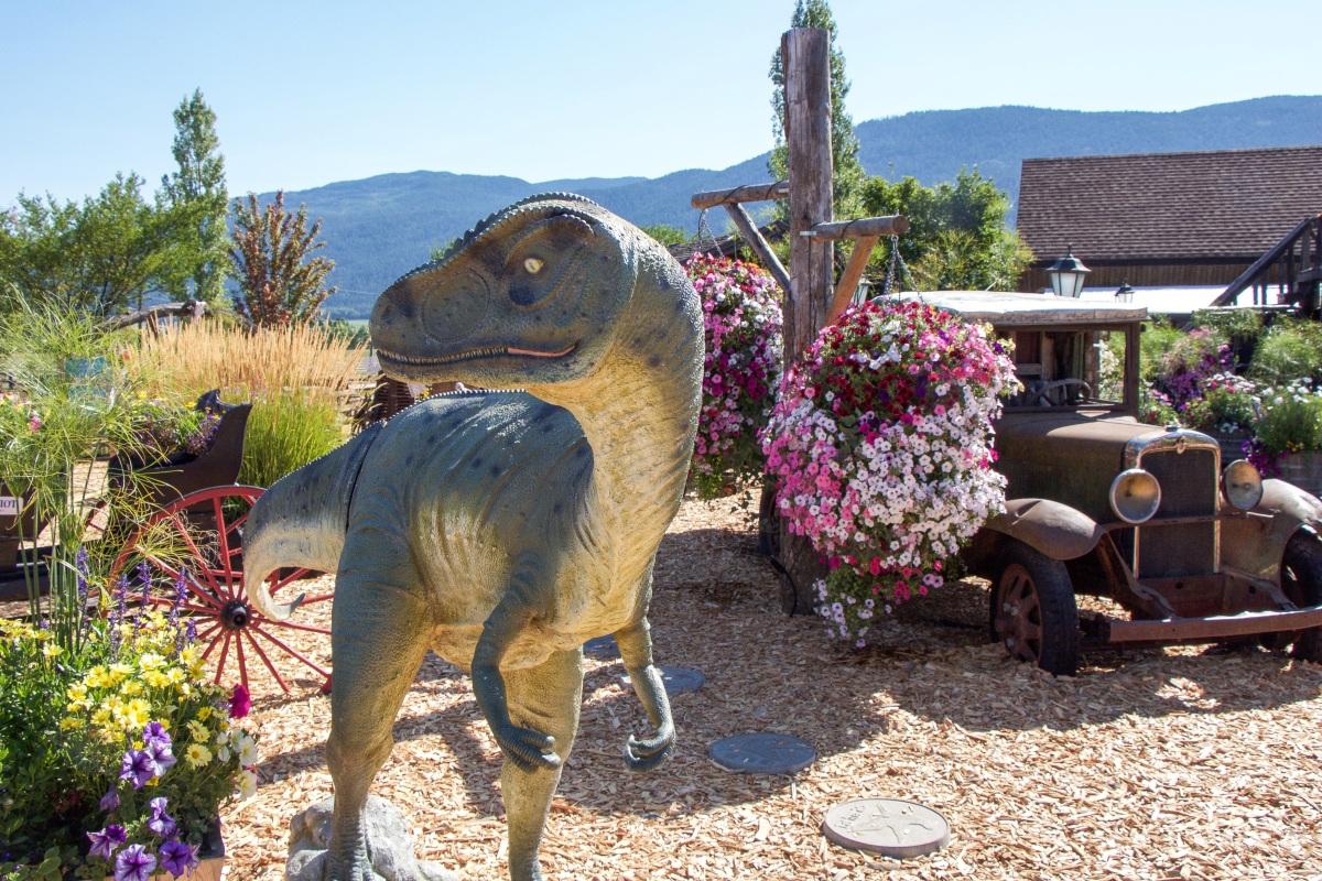 爬行类背景图片