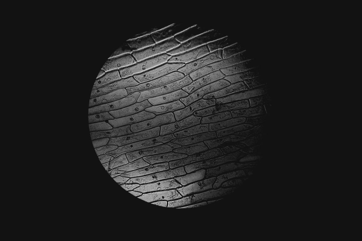 无版权地球图图片