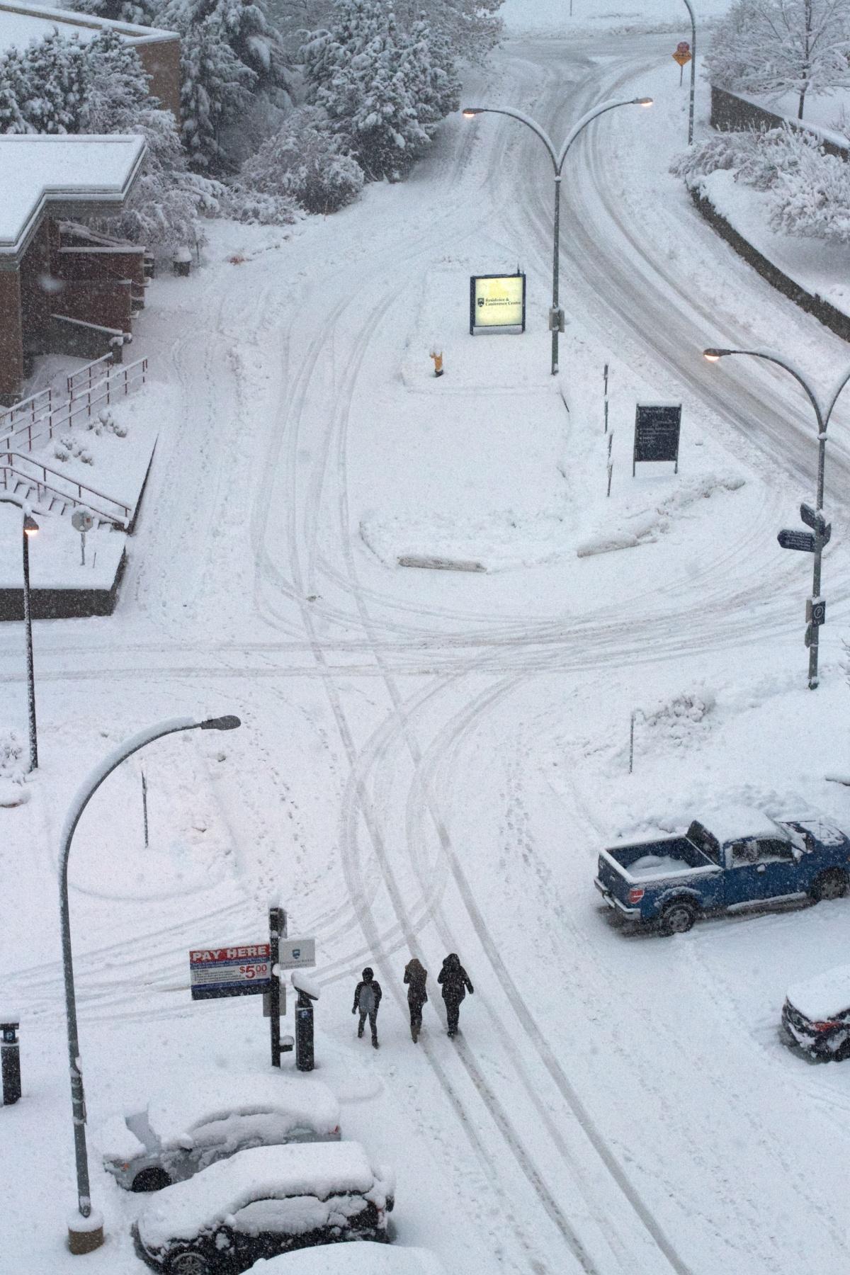 可商用暴风雪图片