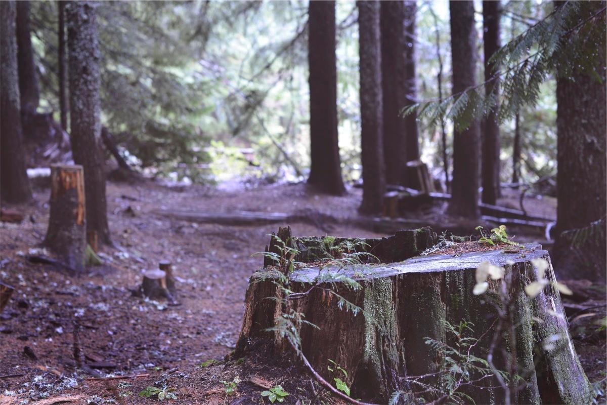 没有水印的链锯图片素材