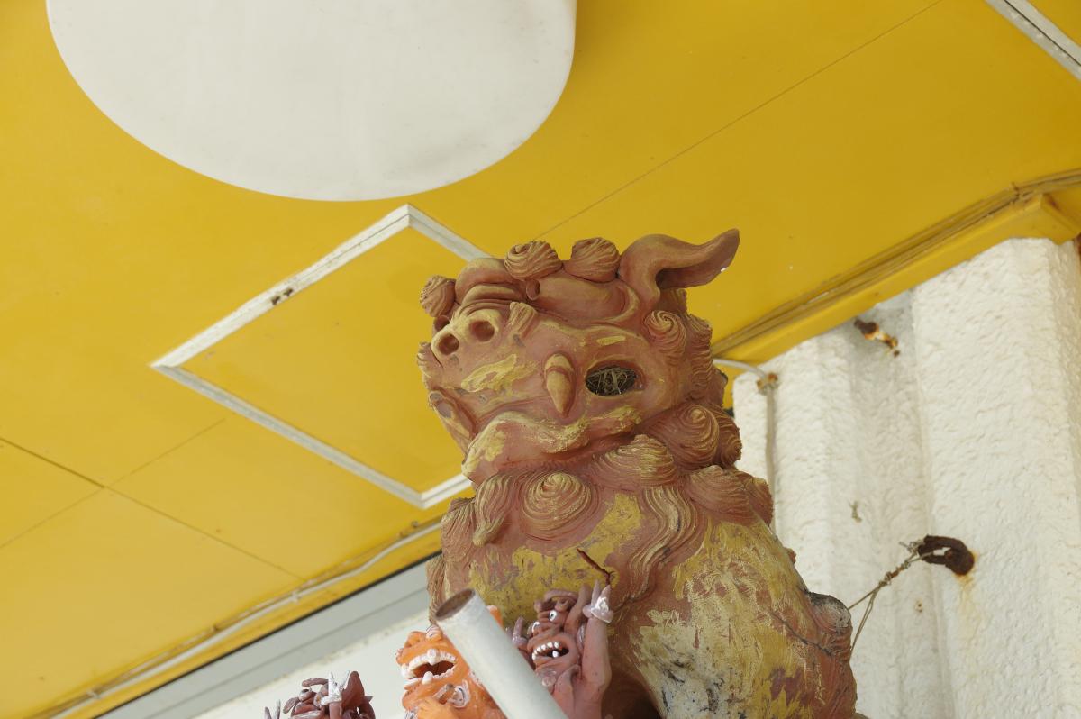 黄色群花图片_黄色群花设计素材