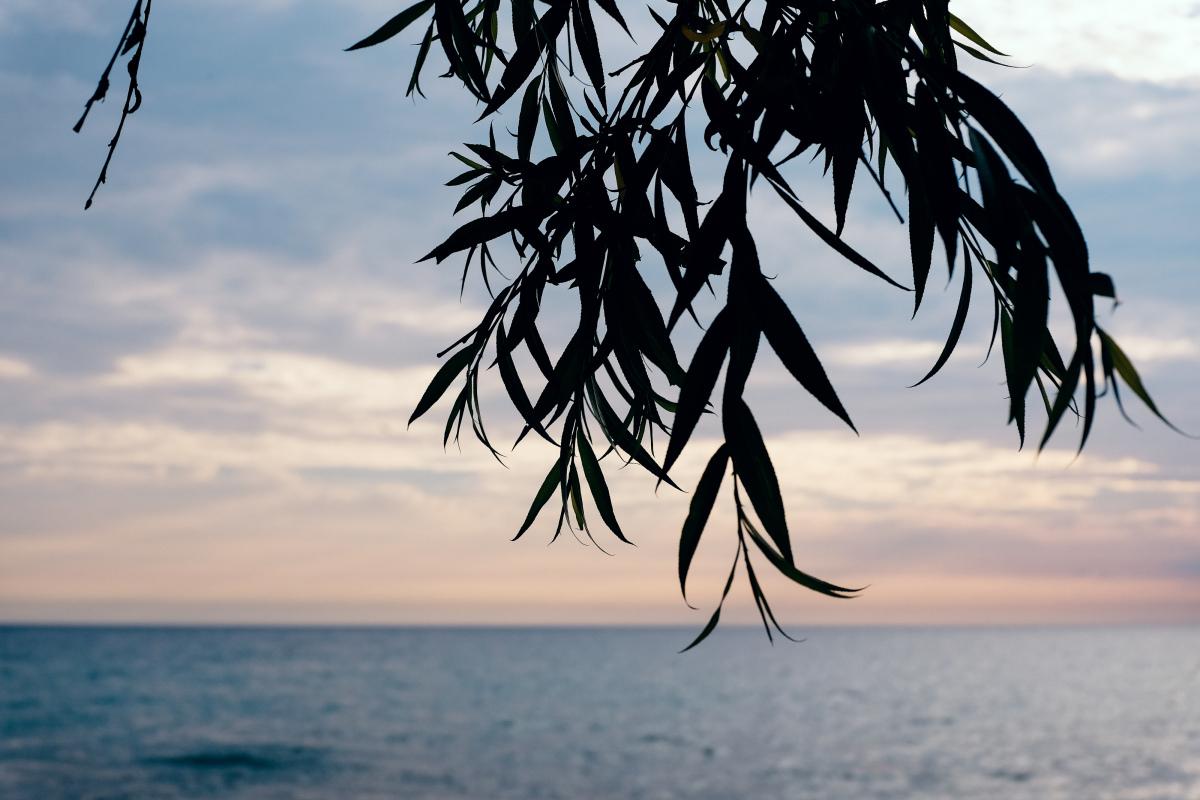 沙滩比基尼免费下载_沙滩比基尼