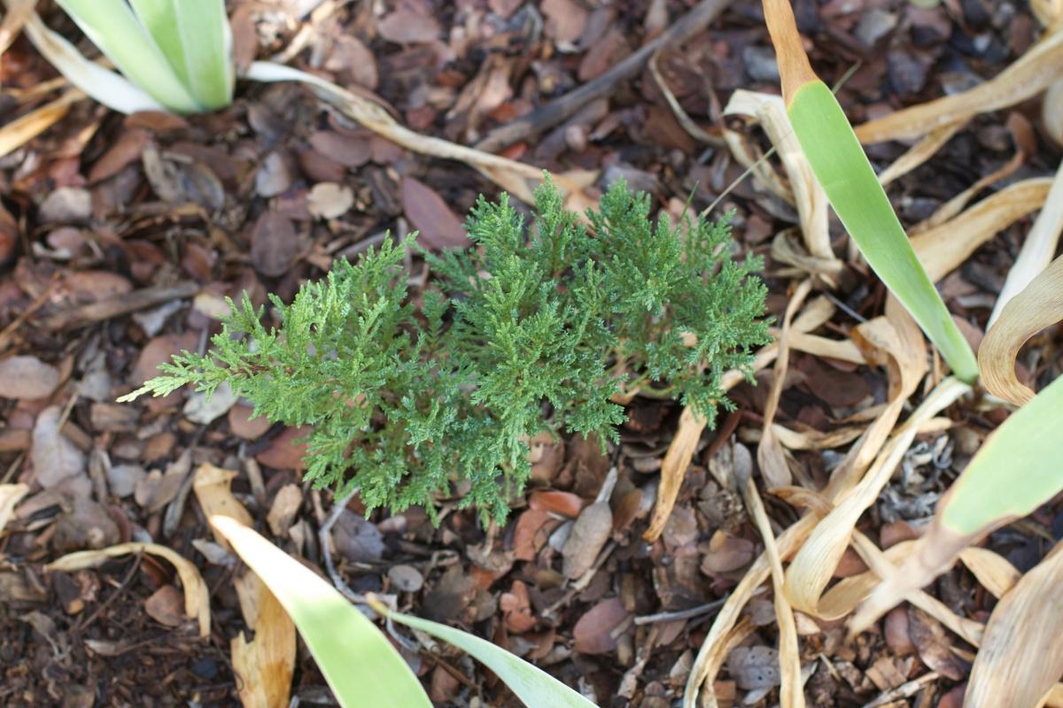【草草草草草草草草草草草草草草草】模板_素材_作品